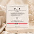 Bransoletka szczęścia - Luty z ametystem